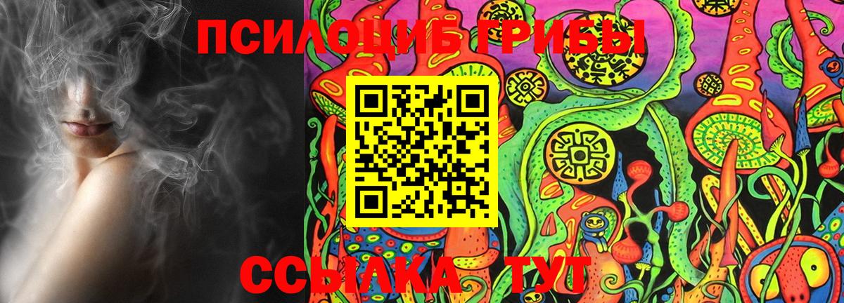 Псилоцибиновые грибы Magic Shrooms  сколько стоит  Липецк  Вход с VPN  Галлюциногенные грибы MAGIC MUSHROOMS 