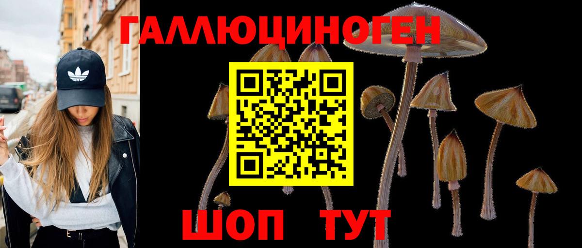 Псилоцибиновые грибы GOLDEN TEACHER Липецк